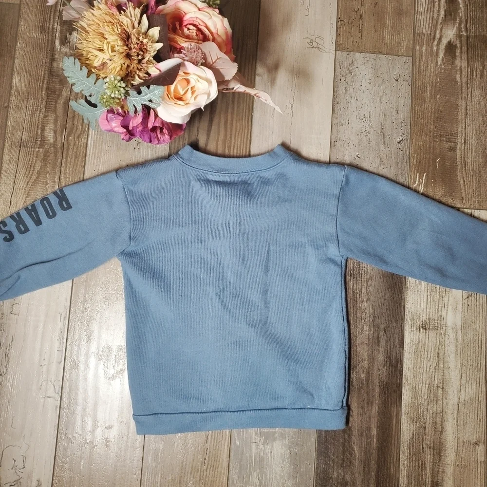 Carter's Boys Size 5T Blue Fleece Pullover Dinosaur Graphic Sweatshirt